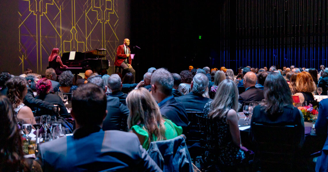 Singer on stage during dinner on stage
